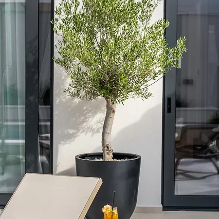 Olea Mandalina Šibenik